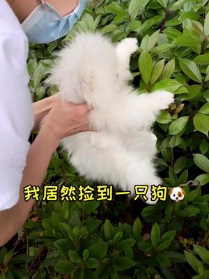 大家觉得取什么名字好听呢!哔哩哔哩bilibili