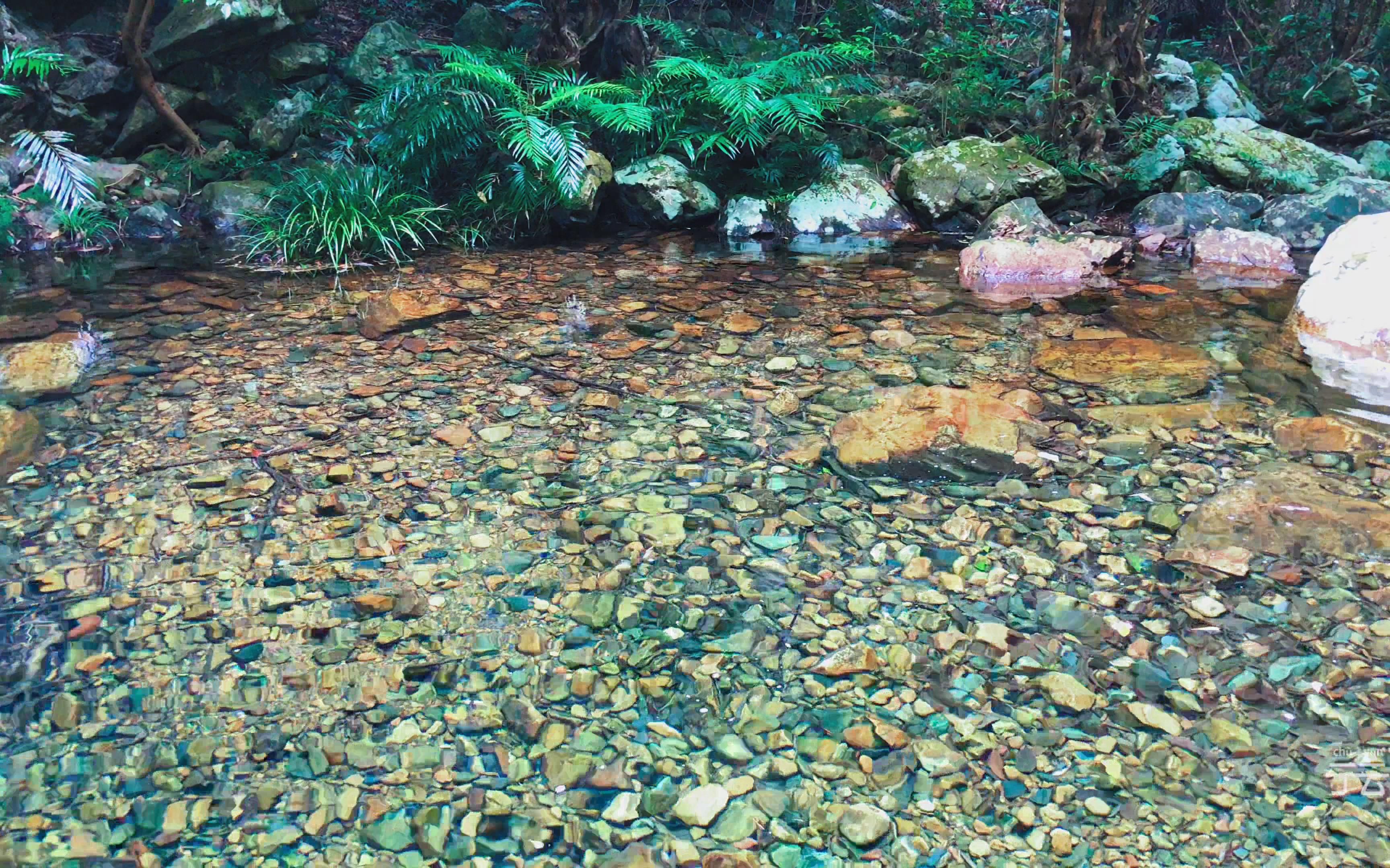 小溪流水清澈见底图片