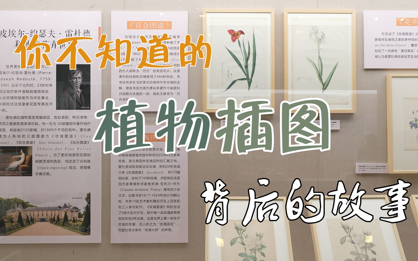 [图]你不知道的植物插图的故事！| 带你看中西方植物插图演变史展