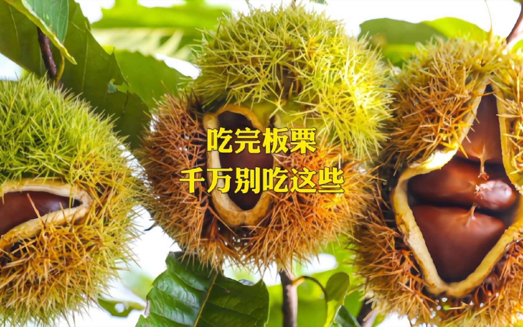 吃完板栗，千万不能吃这些食物！