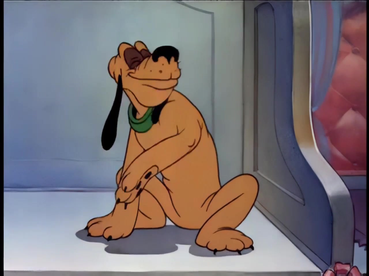 上流社会名狗展