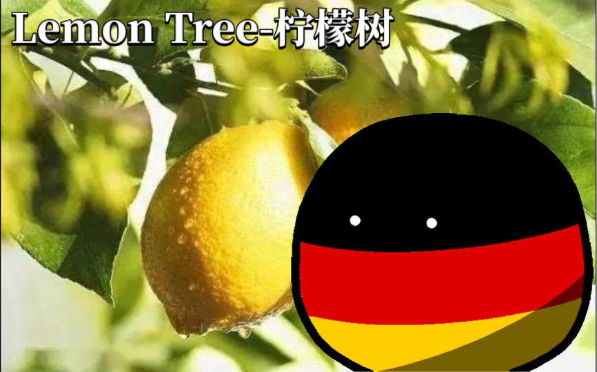 [图]经典旋律《Lemon Tree-柠檬树》Fool's Garden 中英双语字幕