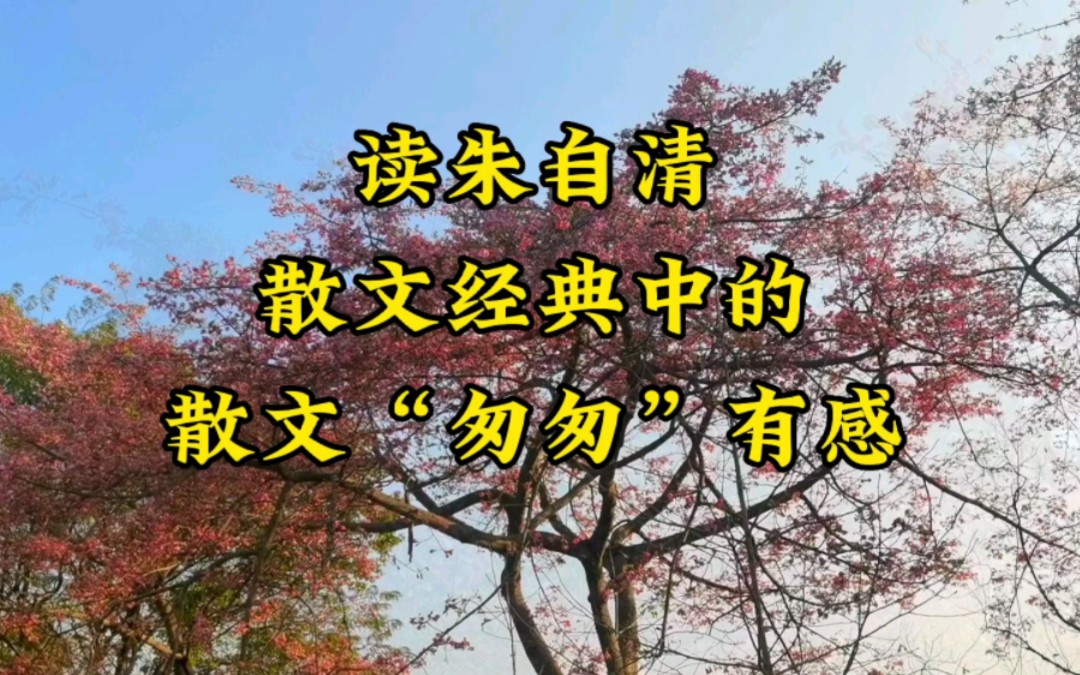 [图]散文“匆匆”，唯美音画，读朱自清散文经典中的“匆匆”有感