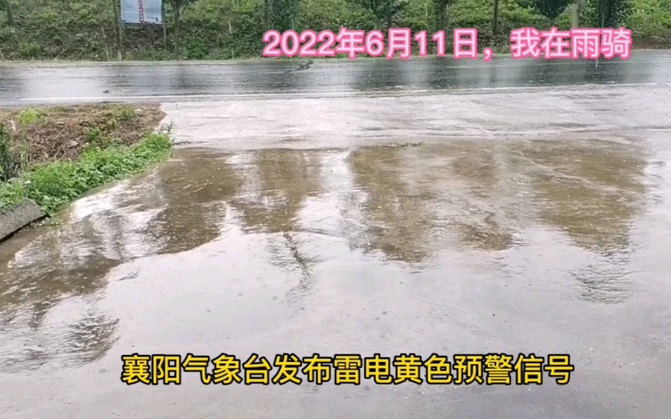 襄阳气象台发布黄色雷电预警信号,6月11日,襄阳下雨了,雨骑哔哩哔哩bilibili