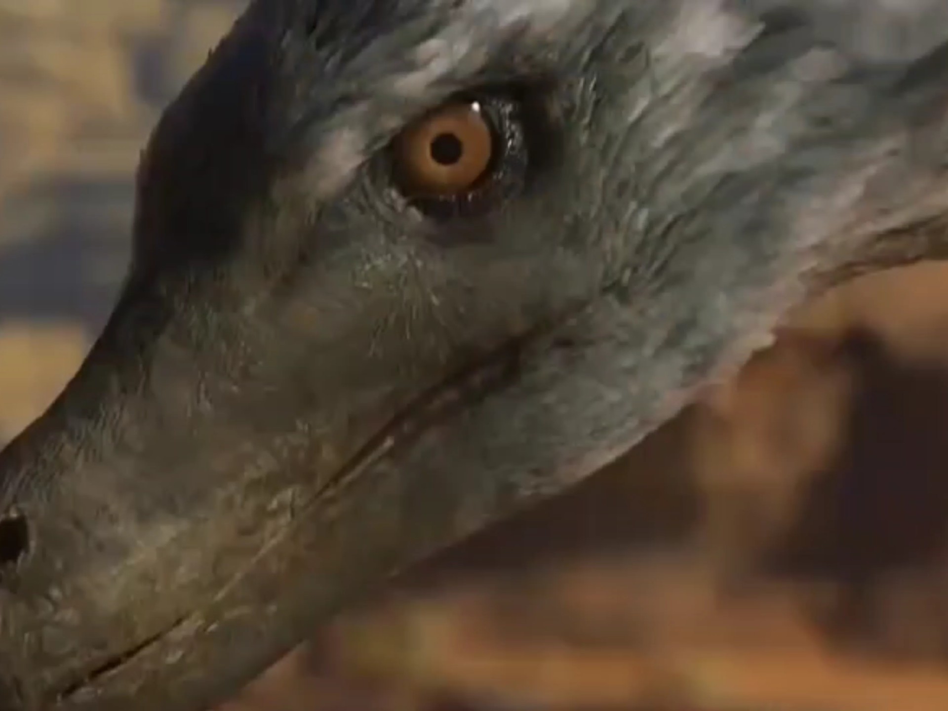 蹦蹦跳跳,但是《史前星球》迅猛龙