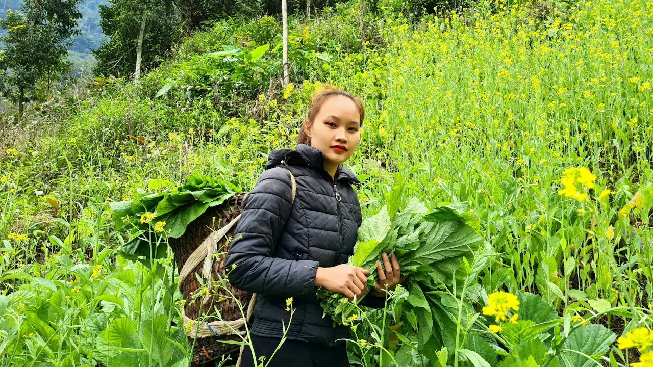 乡村美女户外打野挖到这种野菜,赶集到街上一卖,农村姑娘还赚了