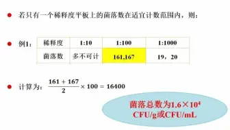 菌落总数的计数方法