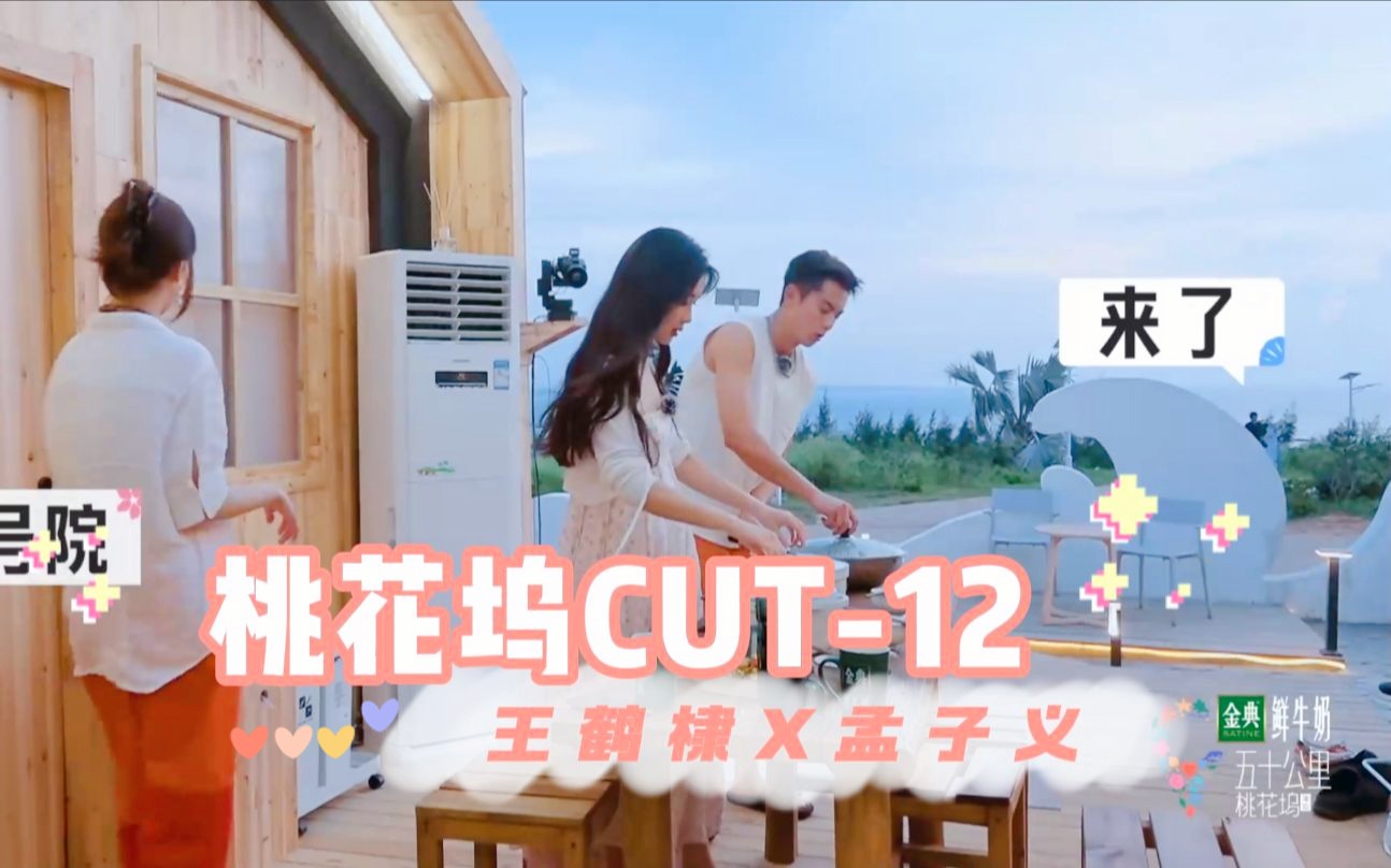 【桃花坞】孟子义x王鹤棣cut12原来你早已经偷走我的心.哔哩哔哩bilibili