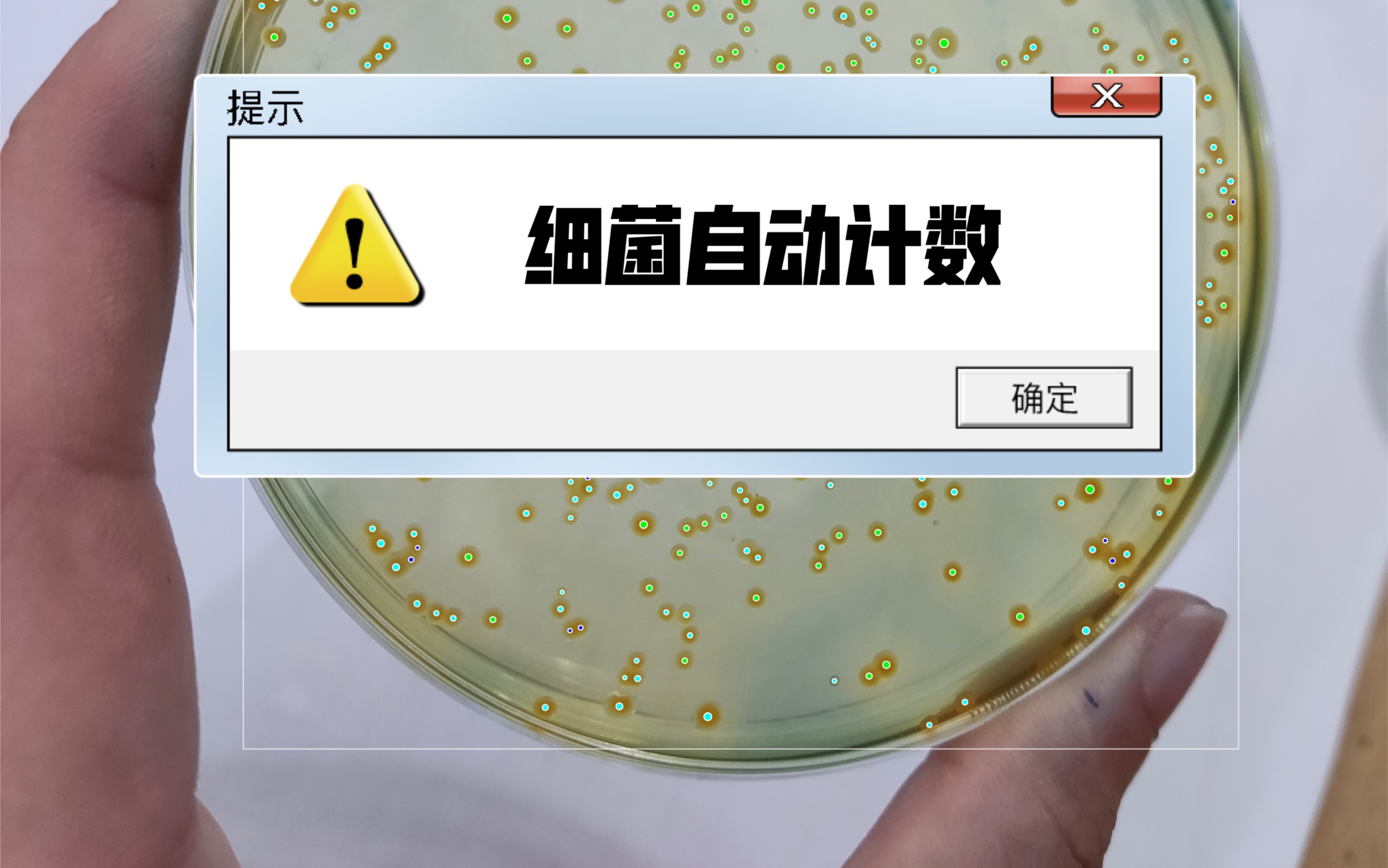 细菌菌落自动计数你是手动计数还是自动计数呢科研日常好帮手工具推荐