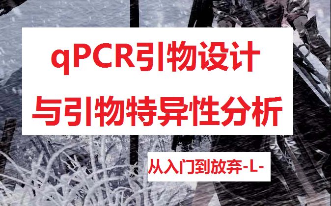 【从入门到放弃】qPCR引物设计及BLAST流程(更新P2解说)哔哩哔哩bilibili