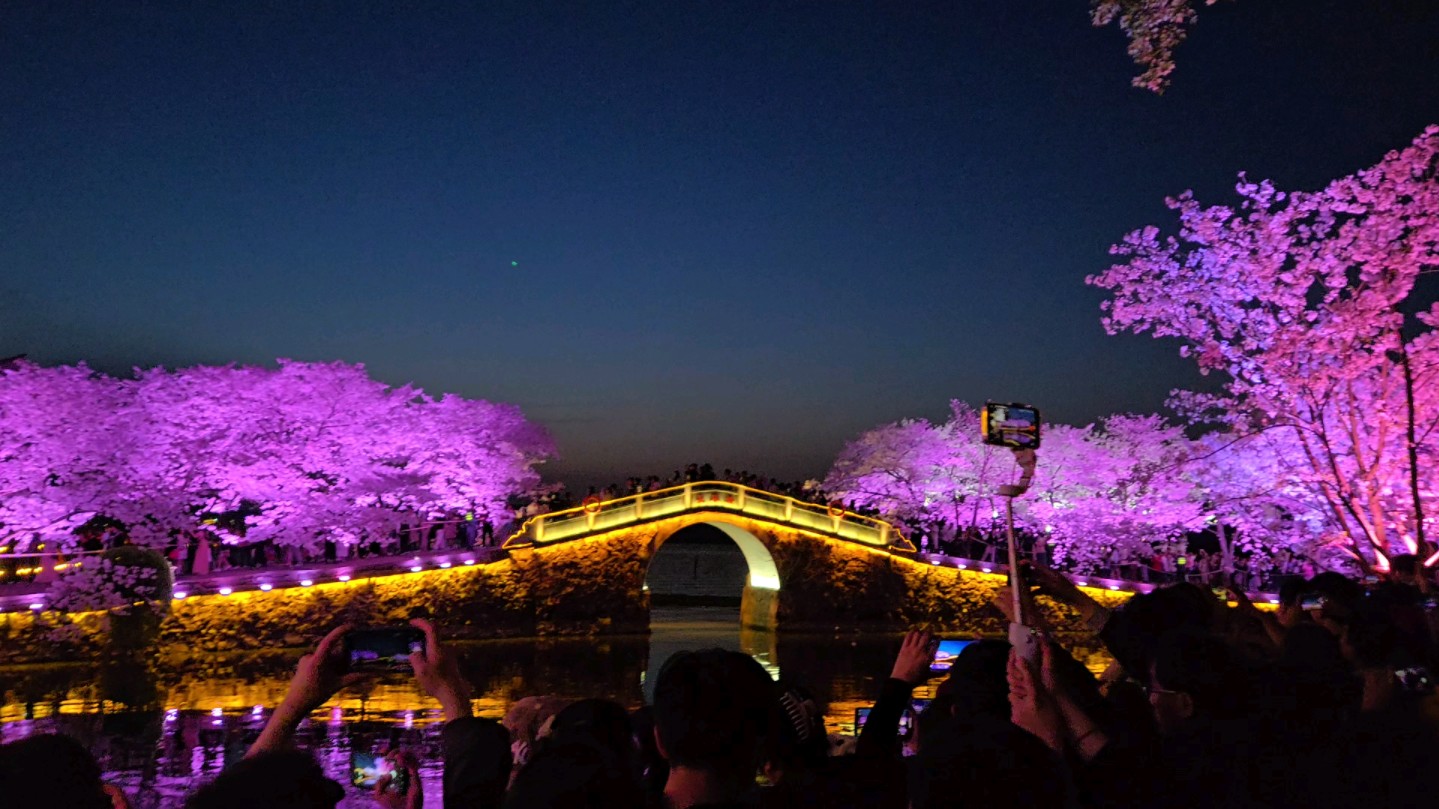 3月30日晚无锡鼋头渚人流量实况哔哩哔哩bilibili