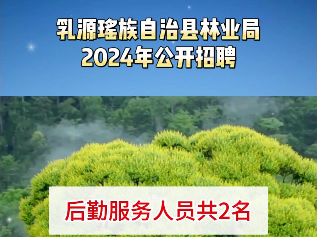 乳源瑶族自治县林业局2024年公开招聘哔哩哔哩bilibili