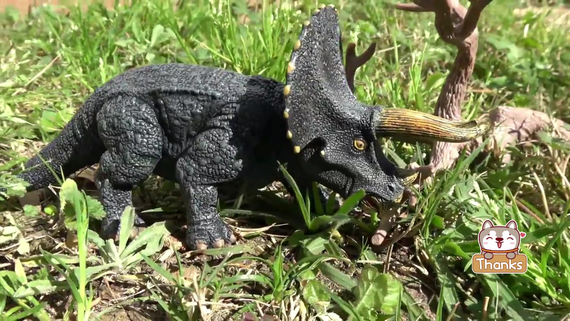 侏罗纪公园恐龙乐园小恐龙的花肚子大家一起来做日光浴吧