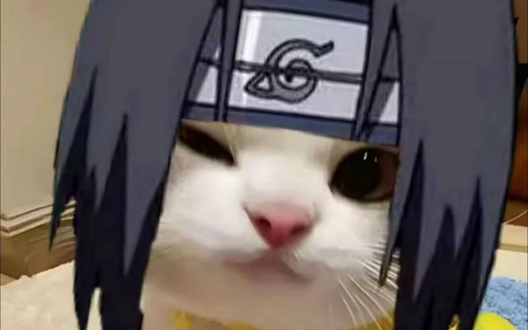 晓鼬超的进阶玩法(玩的菜别喷)