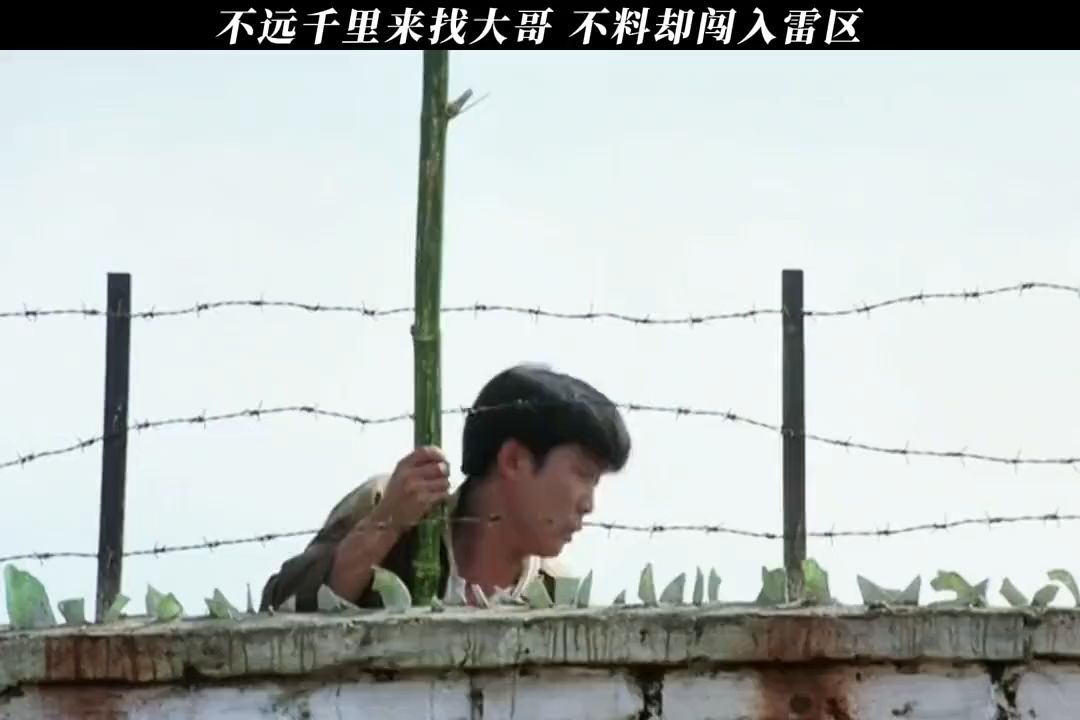 这八字也太硬了.哔哩哔哩bilibili