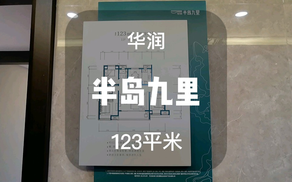 光谷东花山,华润半岛九里,123平米2梯2户,临湖洋房,央企开发,品质保障.哔哩哔哩bilibili