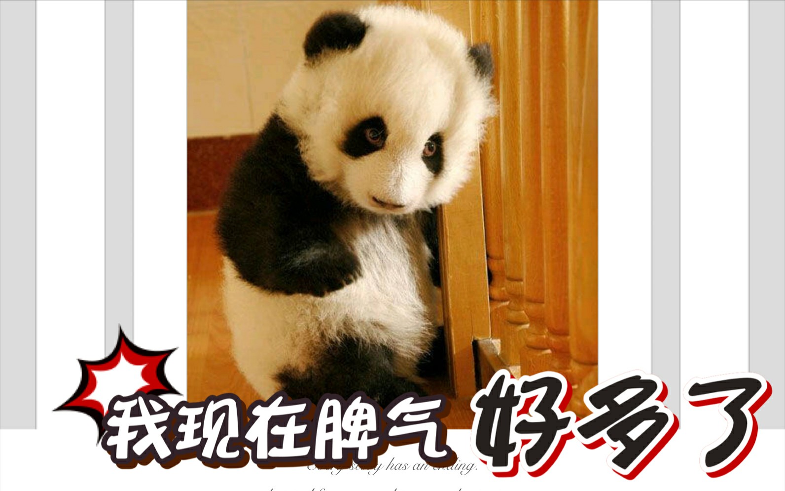 熊猫我可是国宝很凶的