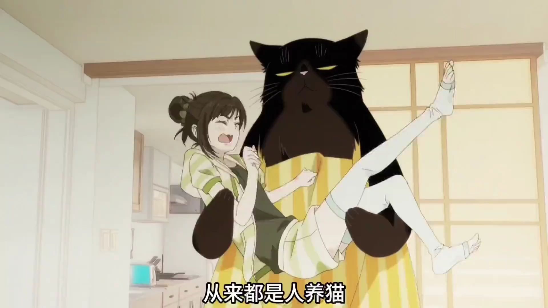 补番推荐:《能干的猫今天也忧郁》,温馨治愈番,拥有一只能做家务的