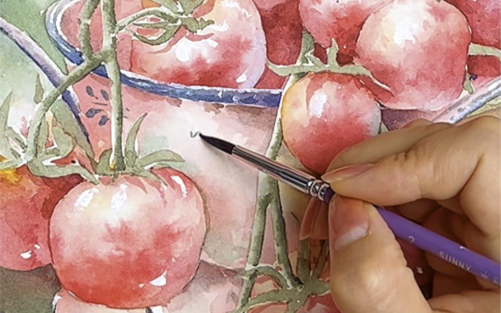 水彩|西红柿