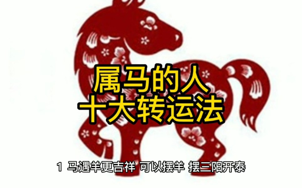 属马的人十大改运法哔哩哔哩bilibili