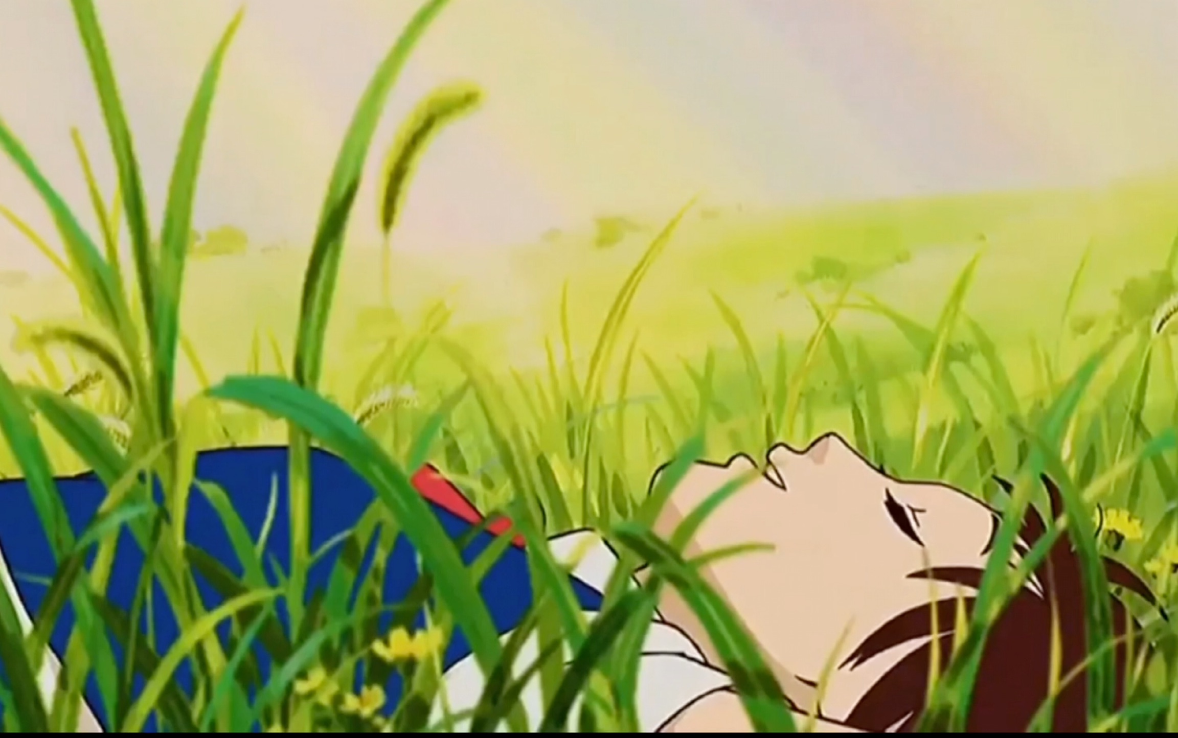 【宫崎骏治愈】记忆中的夏天,回不去的童年.