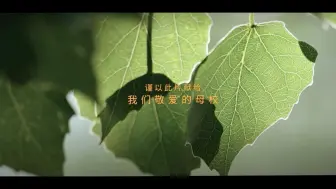 Tải video: 《校园里有一排年轻的白杨》中国传媒大学70周年校庆新版校歌MV。