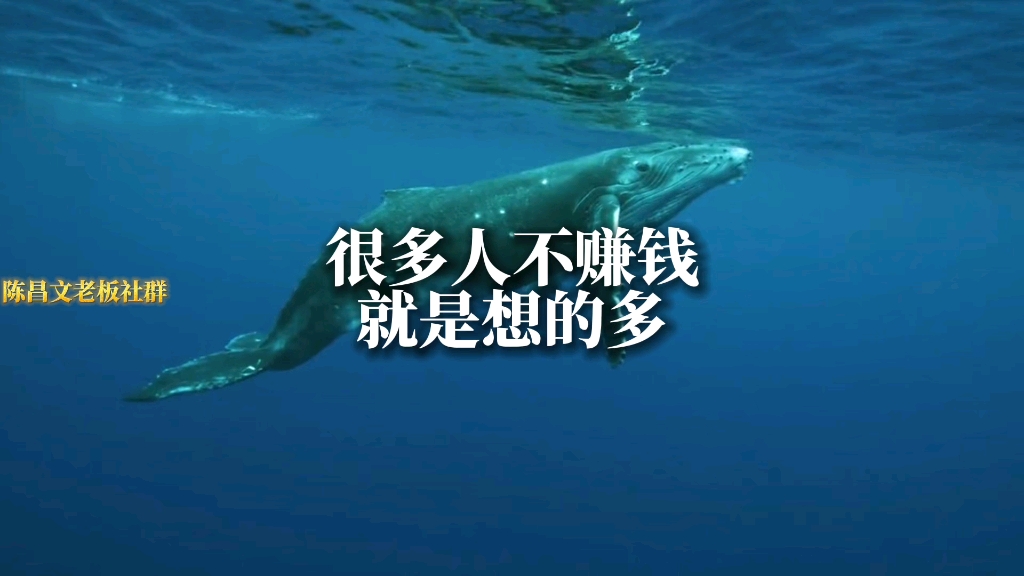 很多人不赚钱就是想的多