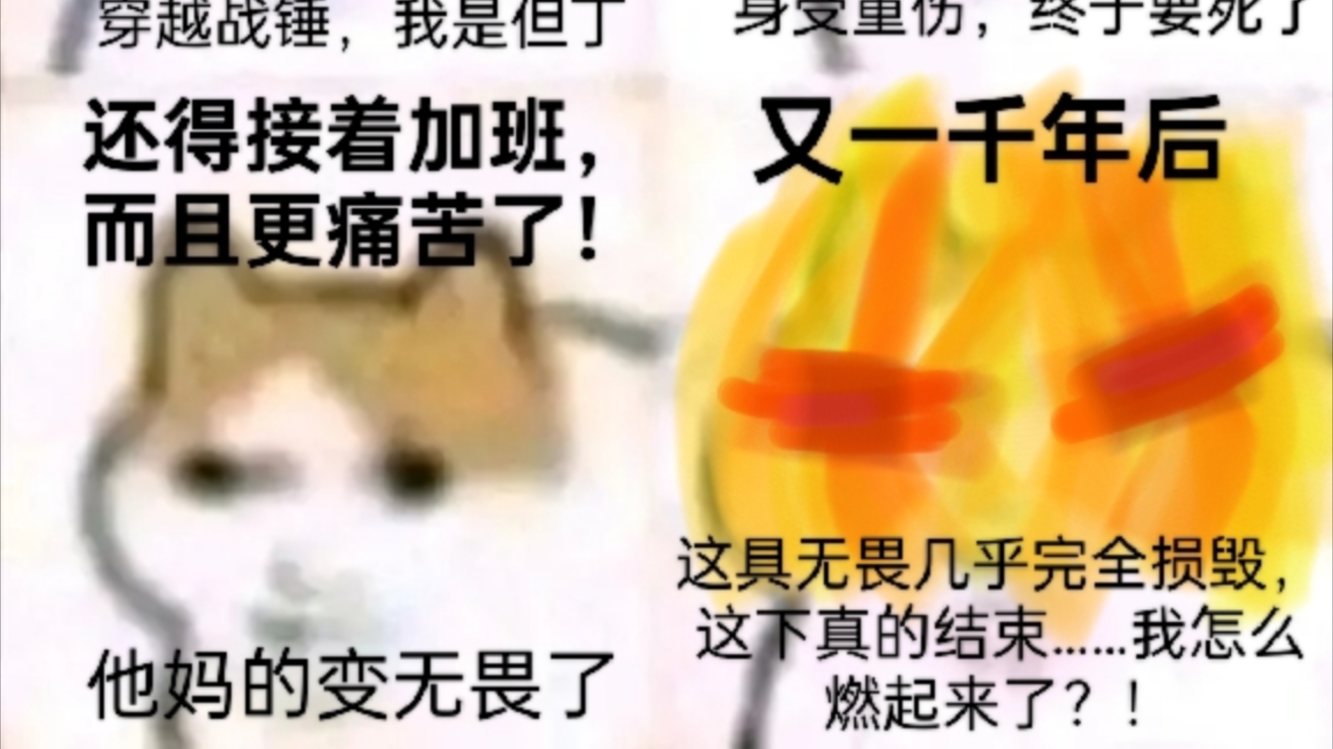 无限猫龙•呱,是帝皇,大家快退呀!哔哩哔哩bilibili