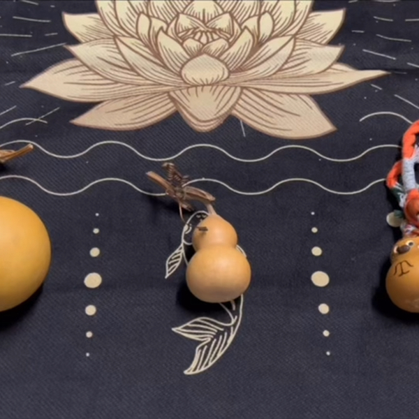 上住節子 算命占法  下　占技秘解 签道卦签占卜｜你心里想的这件事的胜算_哔哩哔哩_bilibili