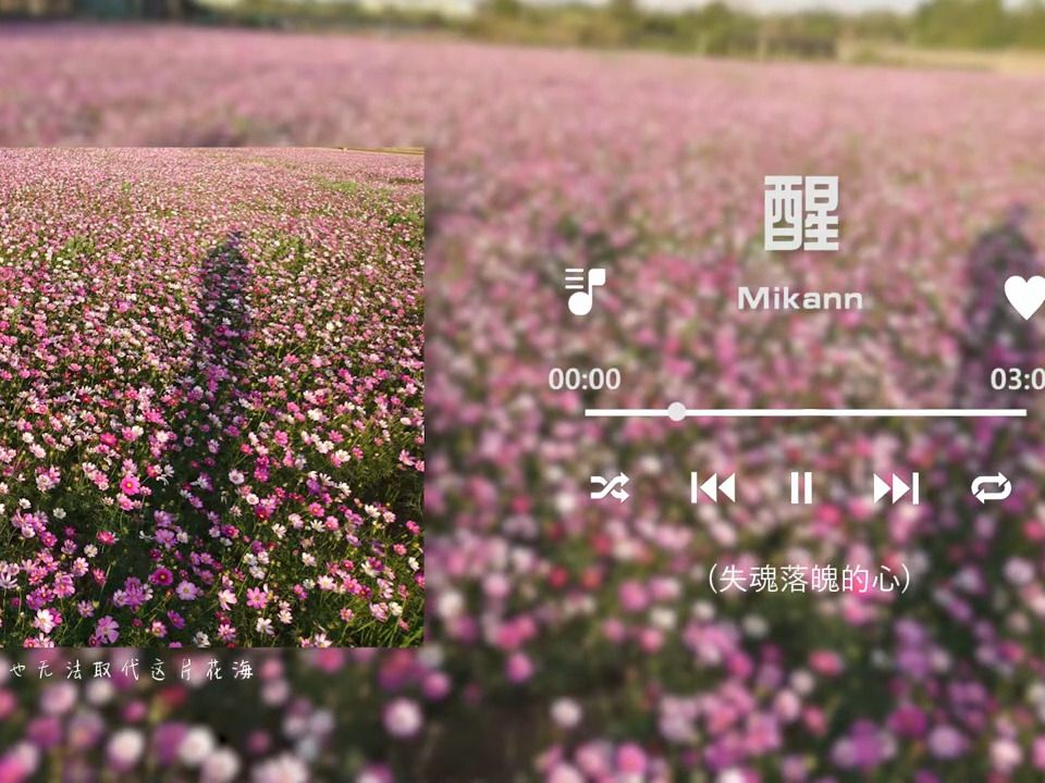 醒 - mikann 耙耙柑 -【2024热门歌曲合集2024年最火的歌曲合集经典