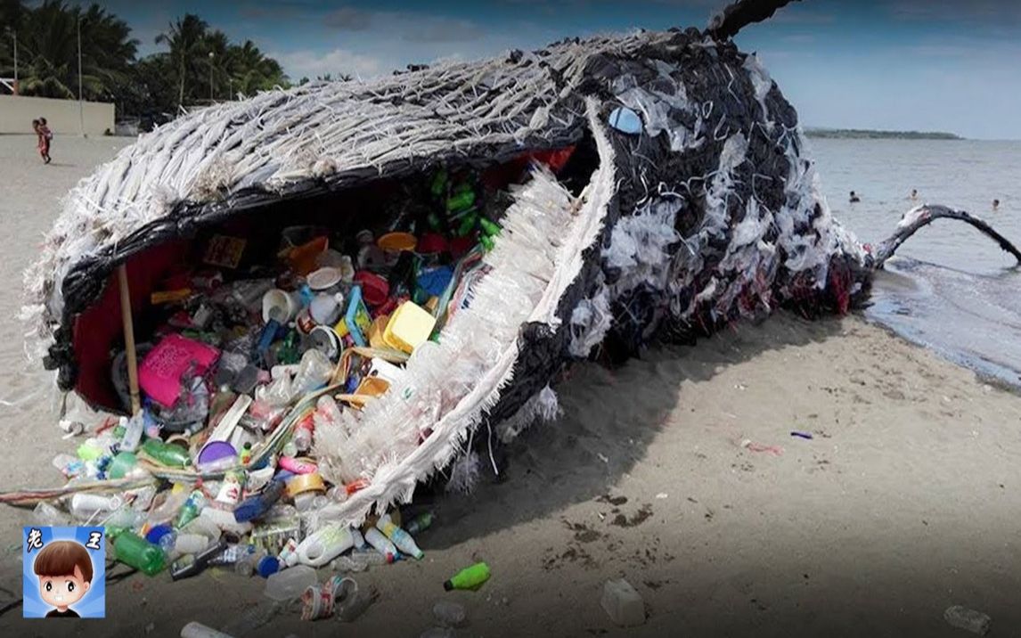 海滩上出现巨大鲸尸!身体里堆满塑料垃圾,所有人惭愧!