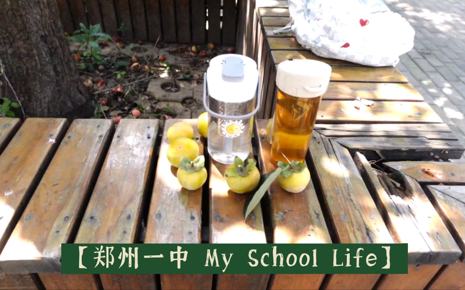 【郑州一中 My School Life】来的时候,没有人告诉我高三要加晚自习呀……哔哩哔哩bilibili