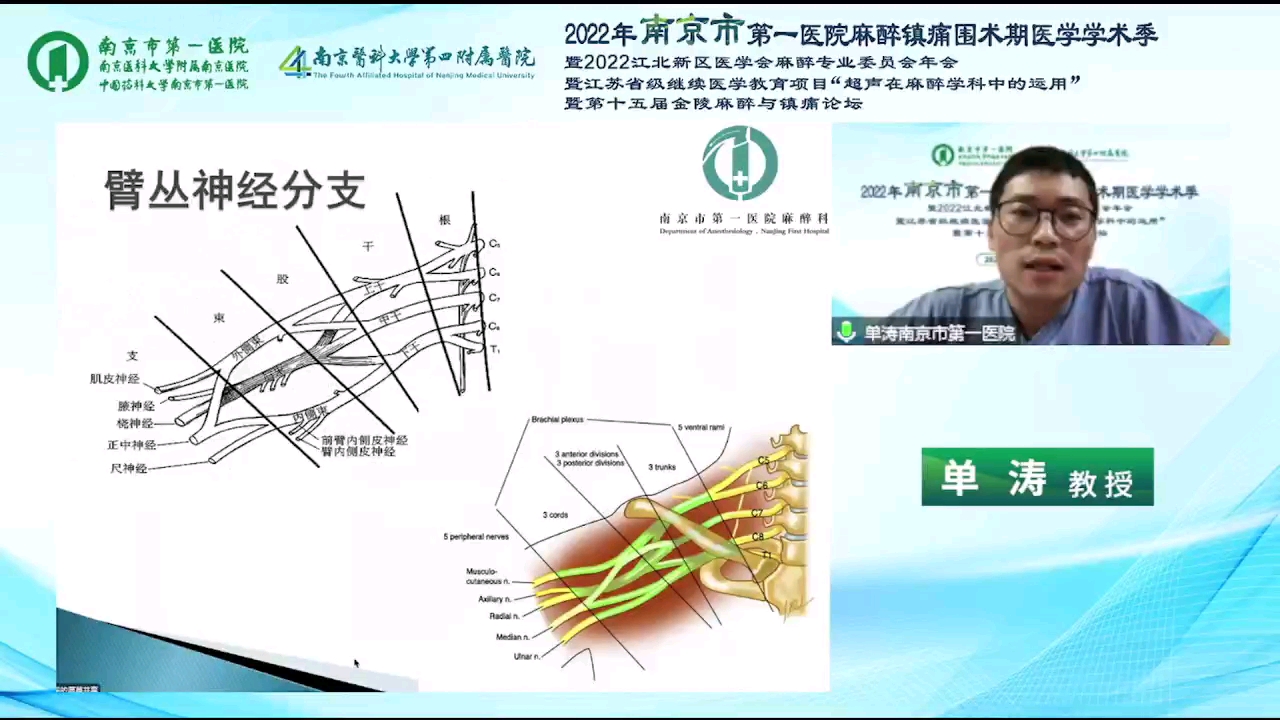 超声下臂丛神经阻滞临床问题拾遗哔哩哔哩bilibili