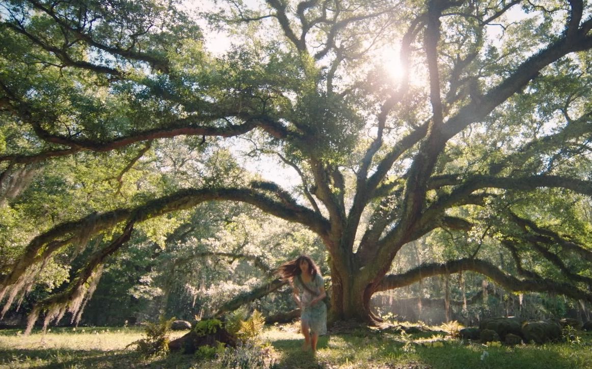 沼泽深处的女孩特辑5-电影-高清正版在线观看-bilibili-哔哩哔哩