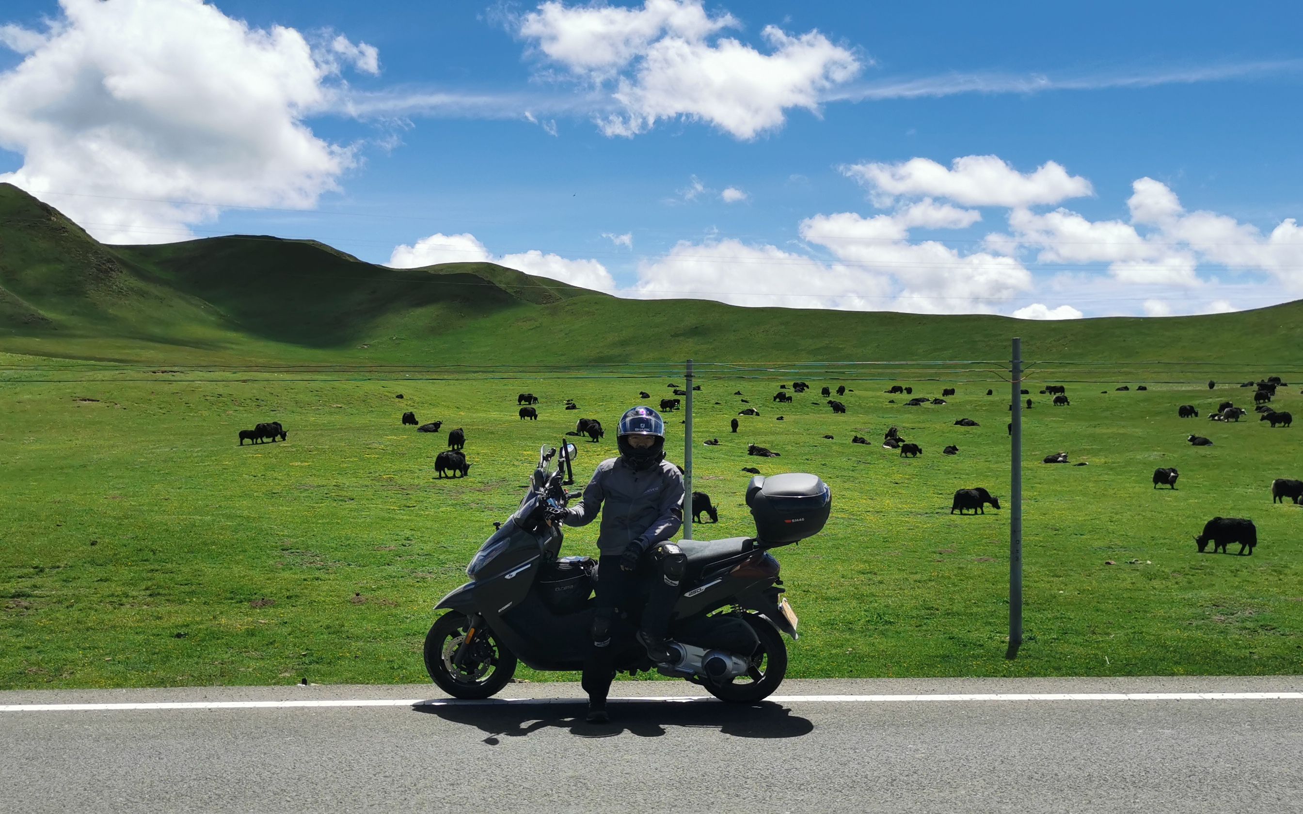 踏板摩旅若尔盖_哔哩哔哩_bilibili