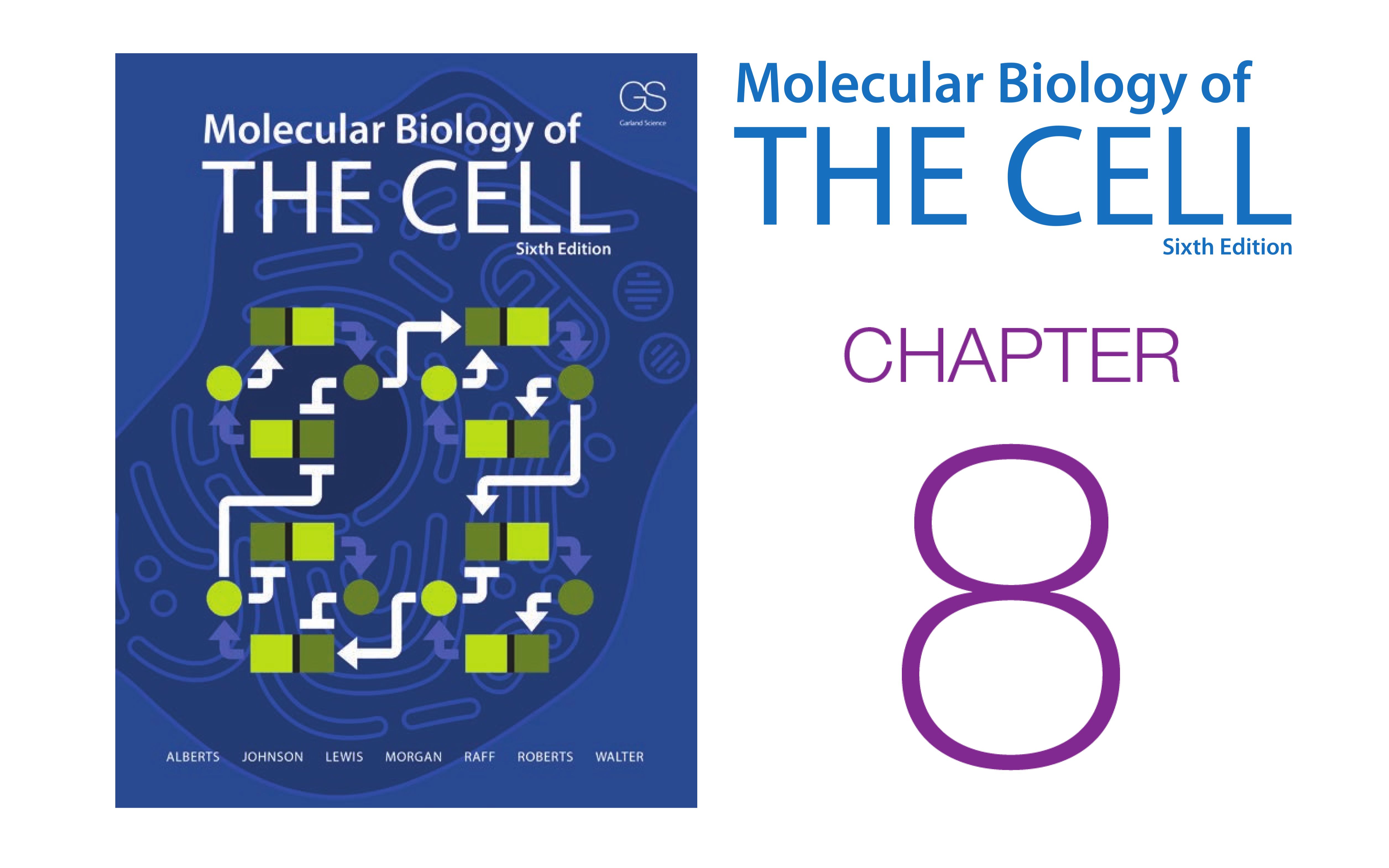 《细胞的分子生物学》第8章 分析细胞、分子和系统 配套视频(字幕重制版)哔哩哔哩bilibili