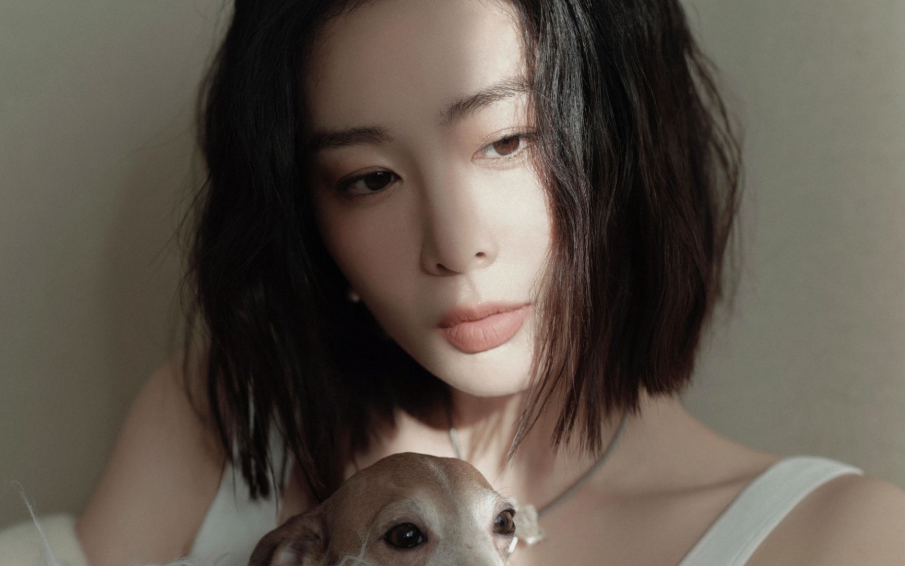 高叶,好美呀