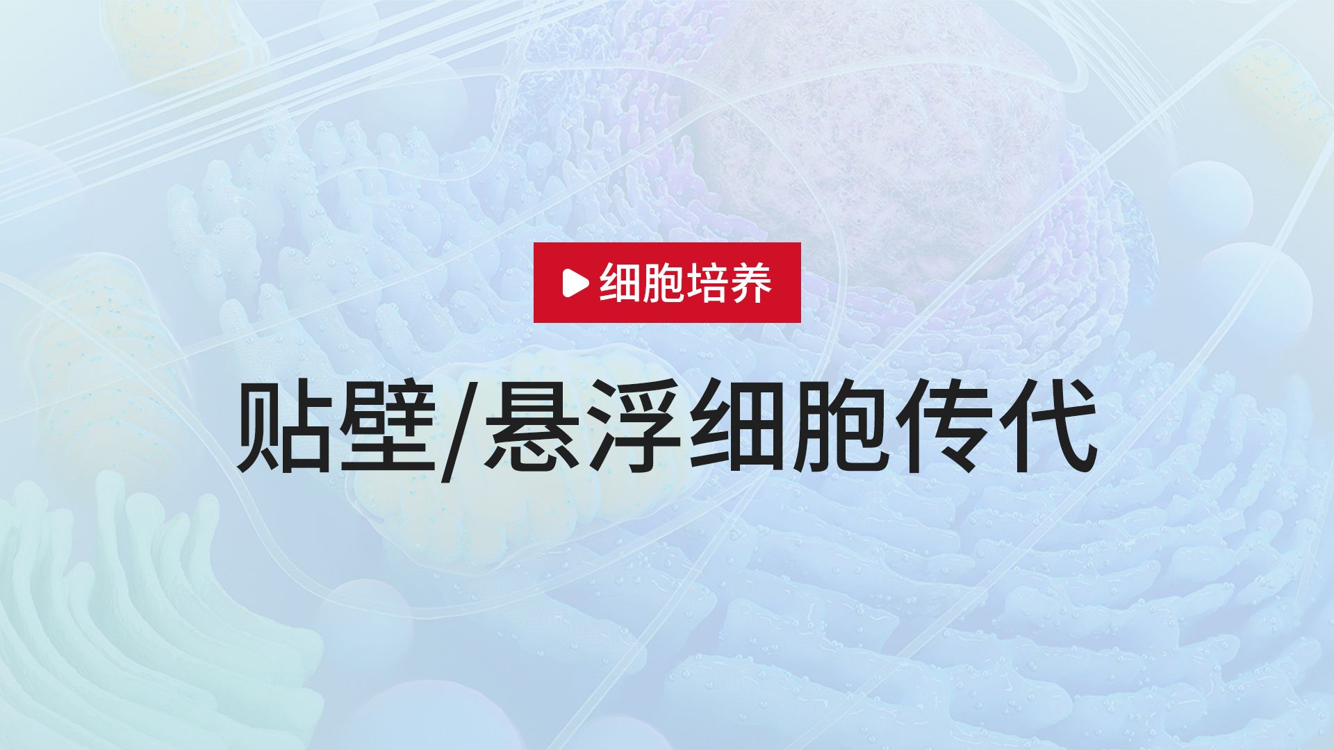 手把手教你学会细胞传代