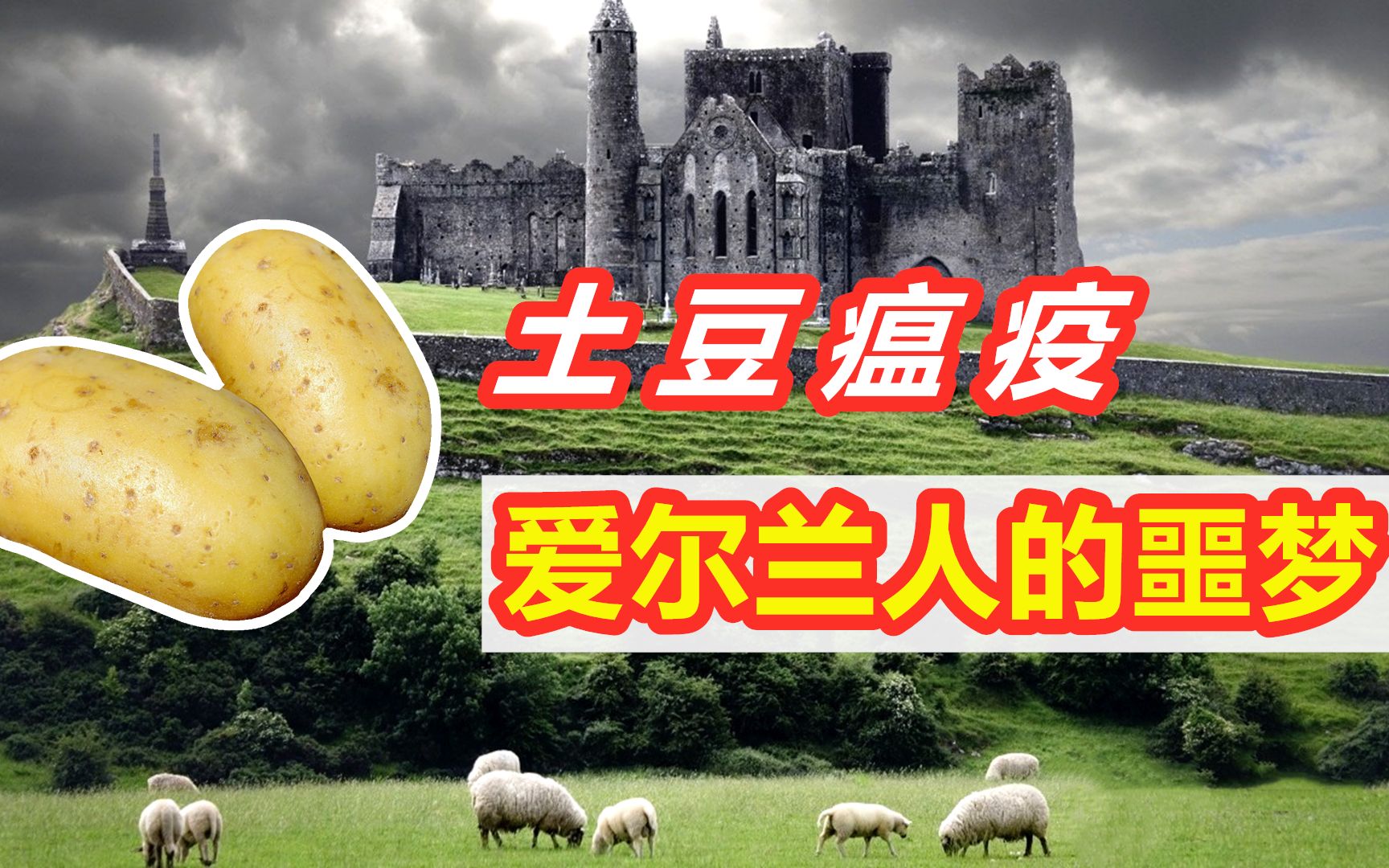 爱尔兰土豆瘟疫数百万饿殍尸横遍野