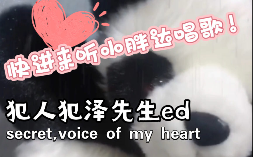 [图]【secret,voice of my heart】太好听了这首歌，所以赶紧学了！我爱麻衣！！