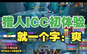 Télécharger la video: P4阶段投资性价比最高职业——猎人！【WLK】