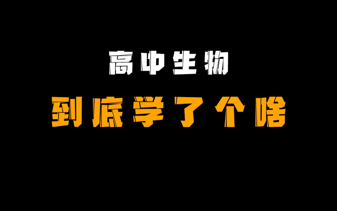 [图]这么多错误，我到底学了个啥？