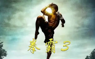 Descargar video: 《拳霸3》男子全身骨骼被打断，却因此练成了绝世武功！