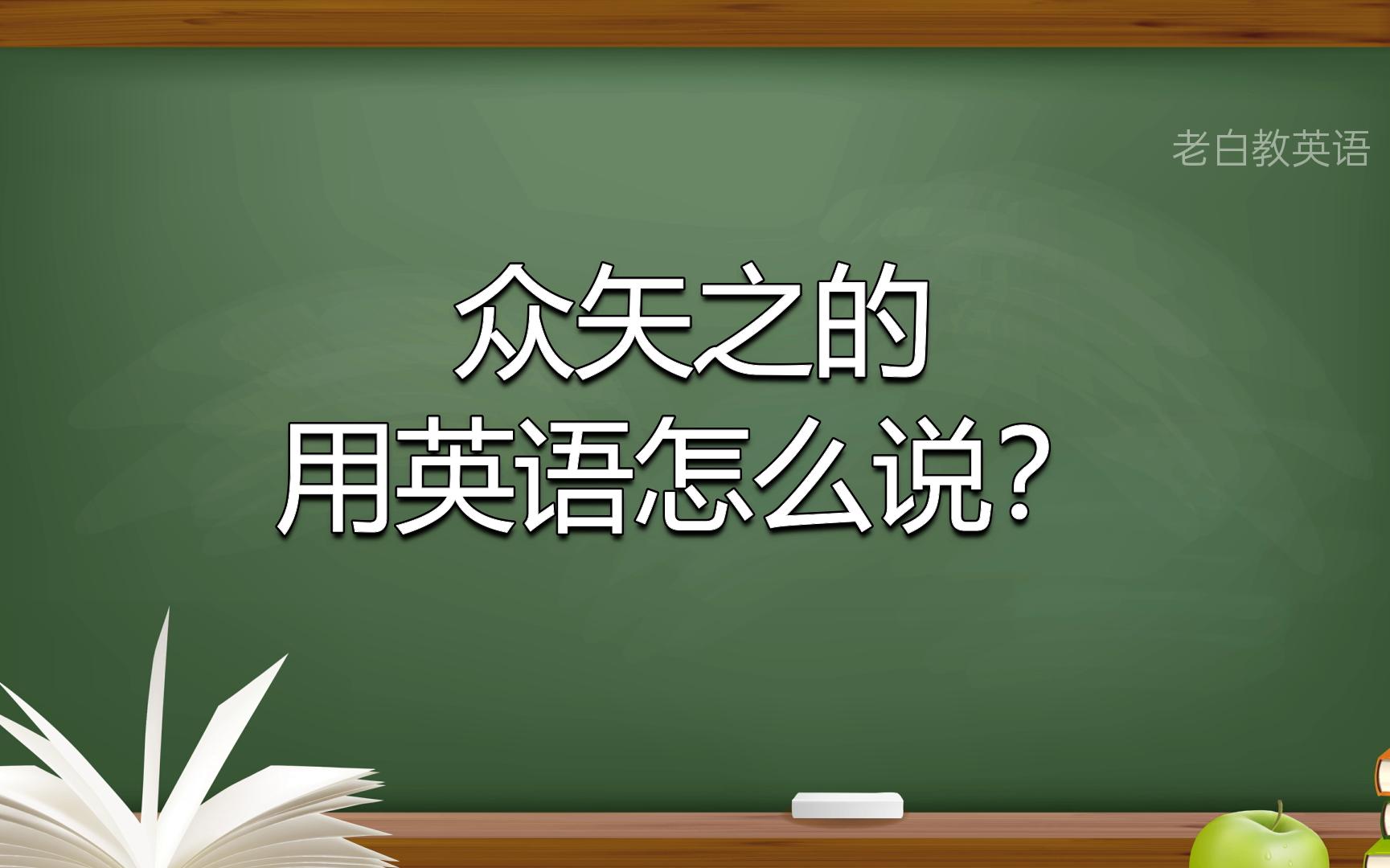 众矢之的用英语怎么说?哔哩哔哩bilibili