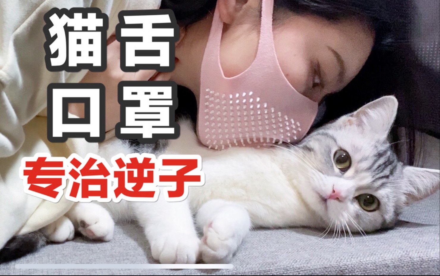 难顶!猫舌口罩 专治逆子/沙雕撸猫实录哔哩哔哩bilibili