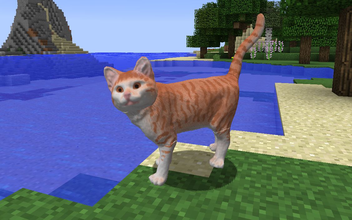 当真正的猫加入了mc