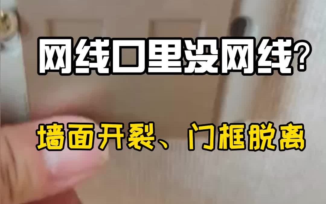 网线口里没网线哔哩哔哩bilibili