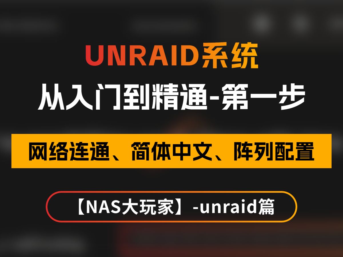 unraid系统从入门到精通第一步:网络连通、简体中文、阵列配置——NAS大玩家哔哩哔哩bilibili