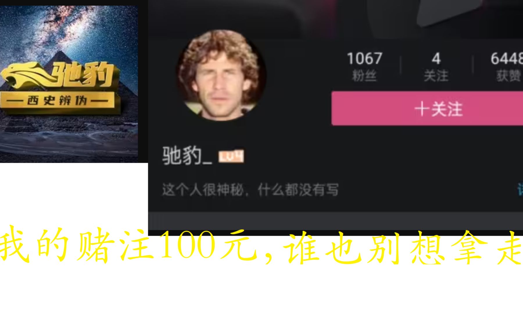 没有人可以获得驰豹的100元赌注哔哩哔哩bilibili