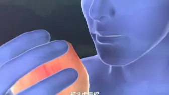 食物的消化和吸收